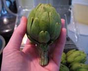 Baby Artichoke